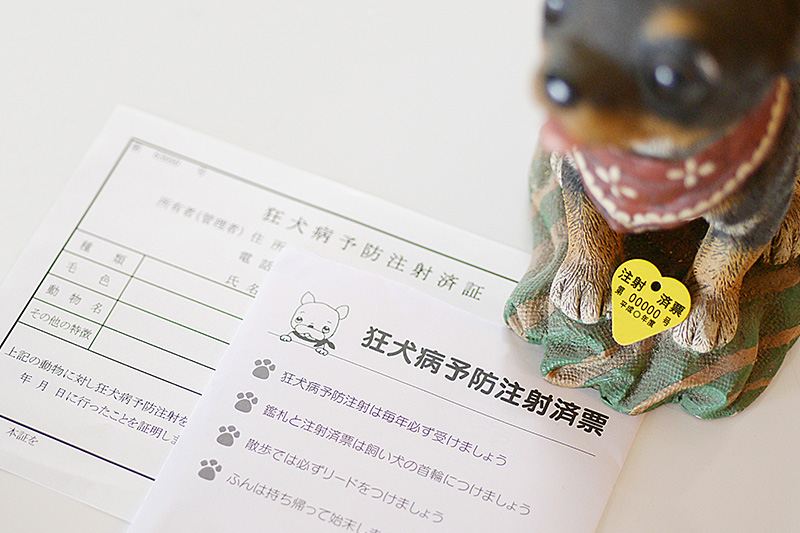 狂犬病予防注射 義務