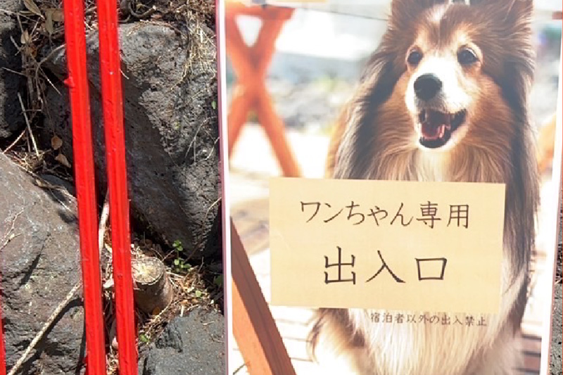 わんちゃん専用 出入口