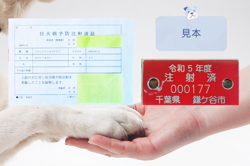 狂犬病予防注射 義務